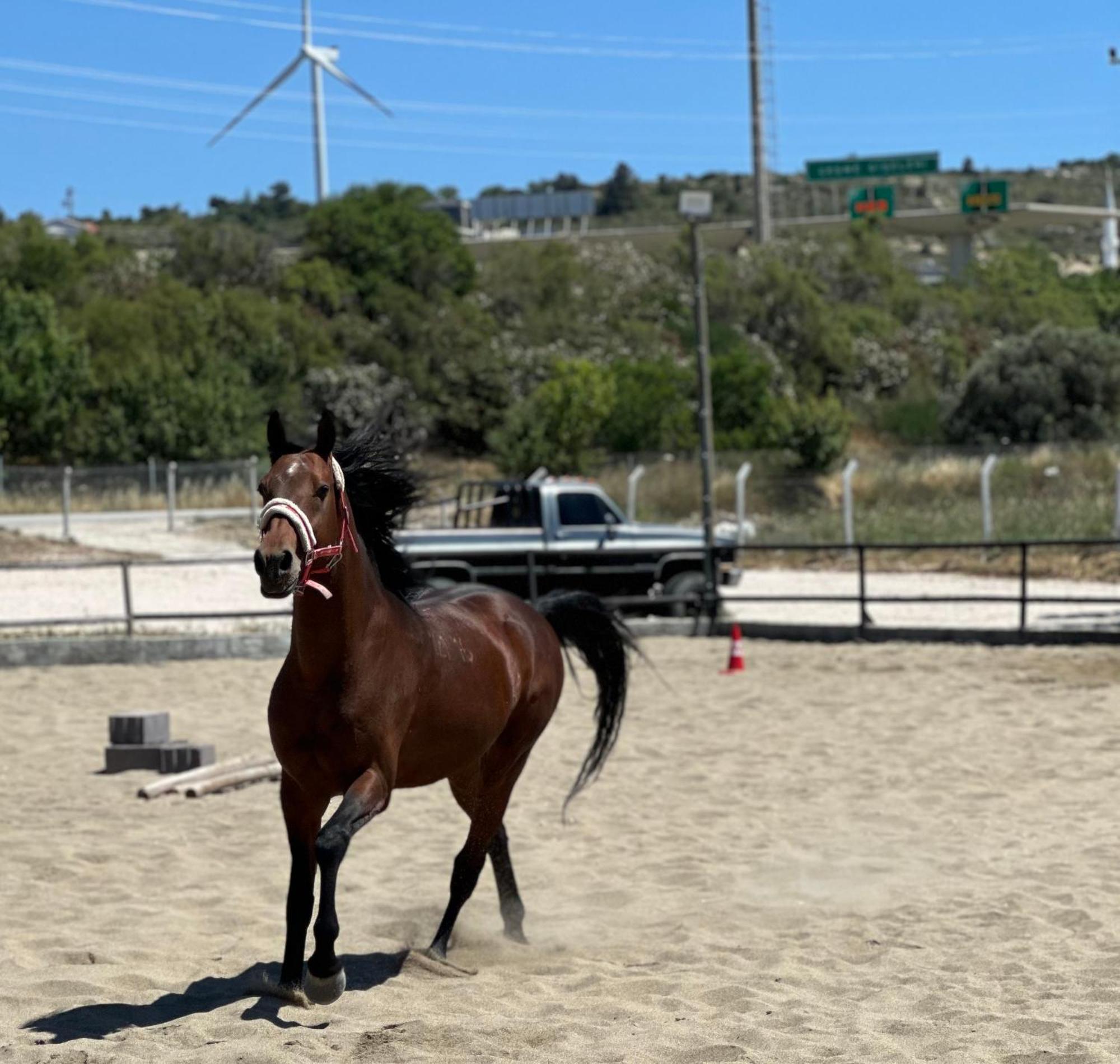 Ride And Stay Çeşme Zewnętrze zdjęcie